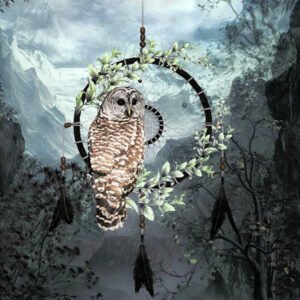 Owl Macrame Dream Catcher